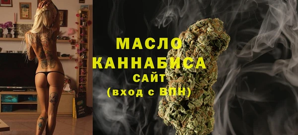 крисы Горняк