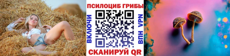Псилоцибиновые грибы MAGIC MUSHROOMS  Енисейск 